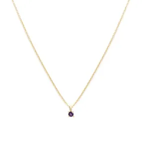 Birthstone Necklace | Gold & Amethyst