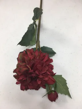 Burgundy Dahlia Stem