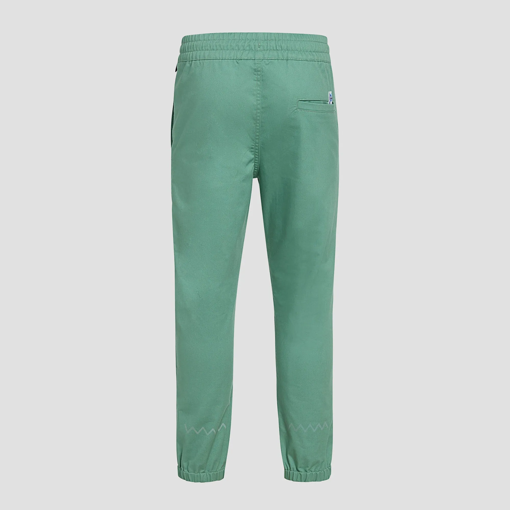 Dash heavy twill pants