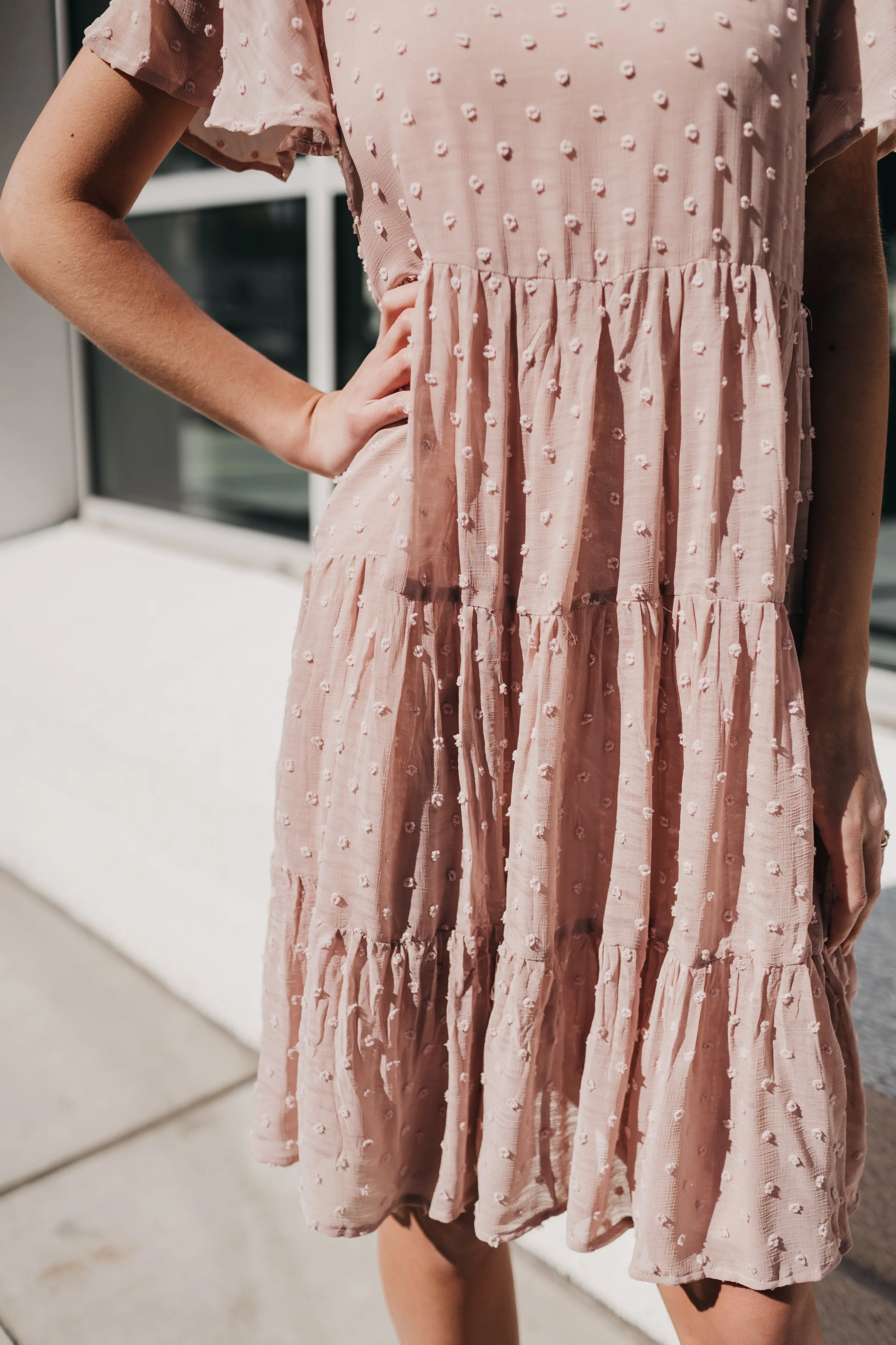 Eleanor Swing Dress in Swiss Dot Blush