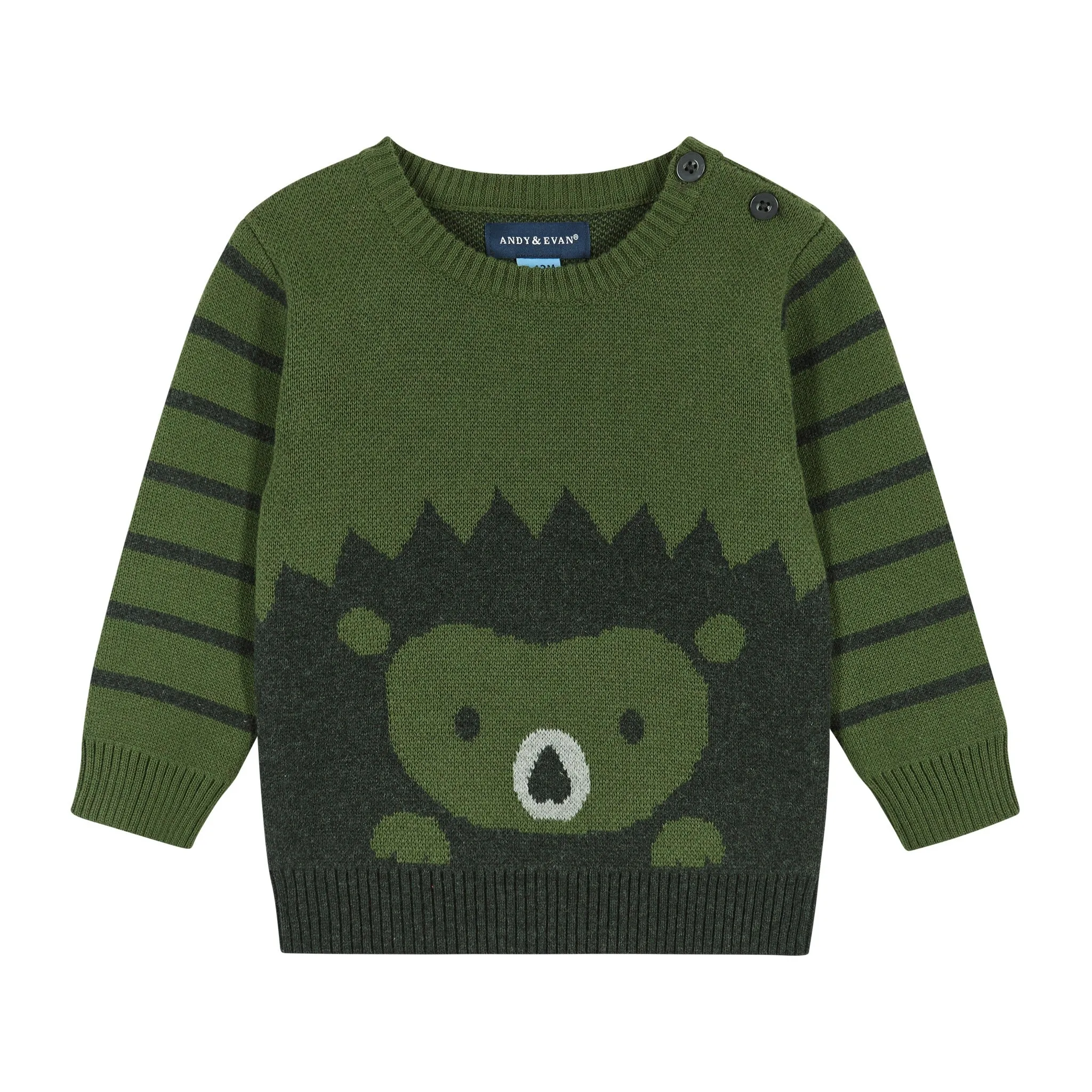 Infant Olive Porcupine Sweater Set  | Green