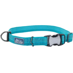 K9 Explorer Brights Reflective Adjustable Dog Collar, Teal Large